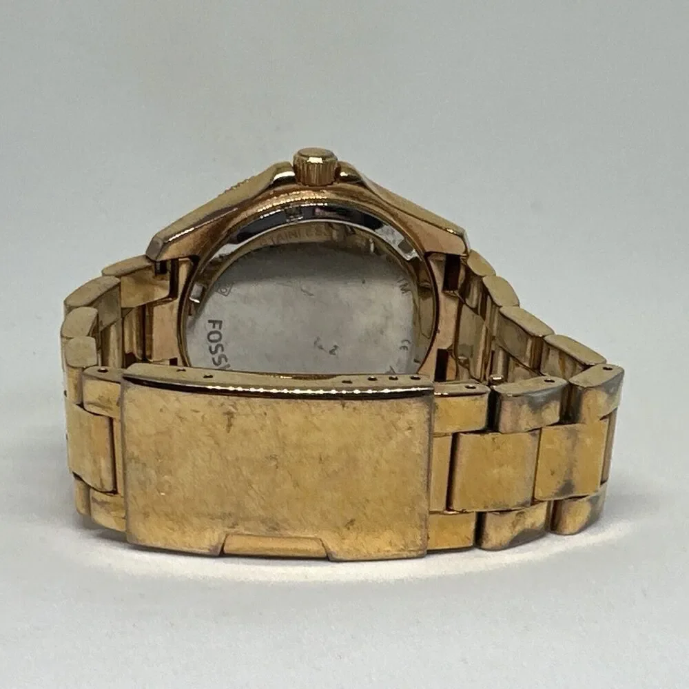 Unbranded fossil cecile